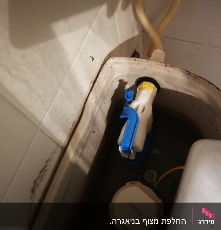 מיכל שירותים עם מנגנון פלסטיק כחול ולבן